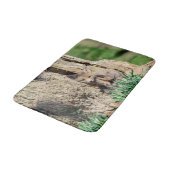 Fox Kit in de Hudson-vallei Badmat (Gekanteld)