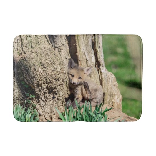 Fox Kit in de Hudson-vallei Badmat (Voorkant)