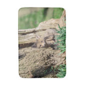 Fox Kit in de Hudson-vallei Badmat (Voorkant Verticaal)