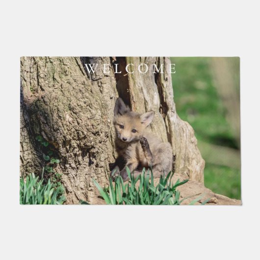 Fox Kit in de Hudson-vallei Deurmat (Voorkant)