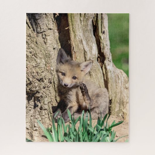 Fox Kit in de Hudson-vallei Legpuzzel (Verticaal)