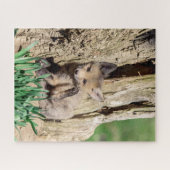 Fox Kit in de Hudson-vallei Legpuzzel (Horizontaal)
