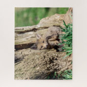 Fox Kit in de Hudson-vallei Legpuzzel (Verticaal)