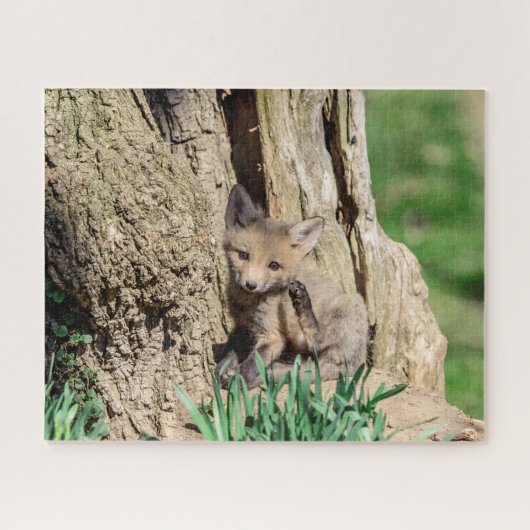 Fox Kit in de Hudson-vallei Legpuzzel (Horizontaal)