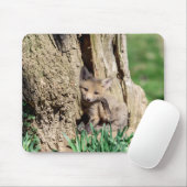 Fox Kit in de Hudson-vallei Muismat (Met muis)