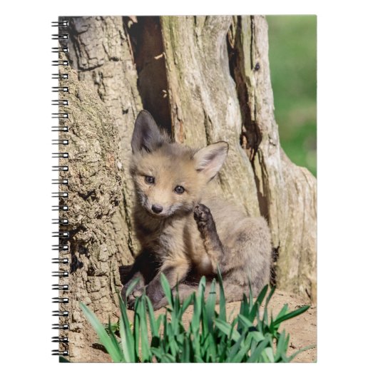 Fox Kit in de Hudson-vallei Notitieboek (Voorkant)