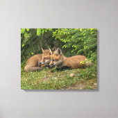 Fox Kit Pals Canvas Afdruk (Voorkant)