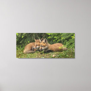 Fox Kit Pals Canvas Afdruk