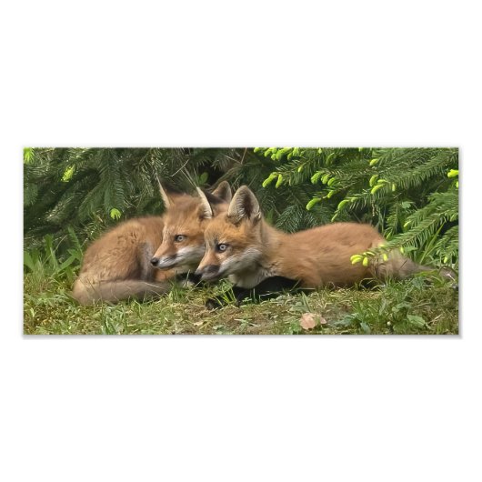 Fox Kit Pals Foto Afdruk (Voorkant)