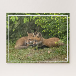 Fox Kit Pals Legpuzzel