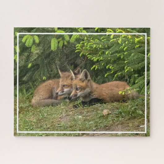 Fox Kit Pals Legpuzzel (Horizontaal)