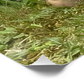 Fox Kit Pals Perfect Poster (Hoek)