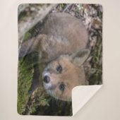 FOX KIT SHERPA DEKEN (Voorkant)