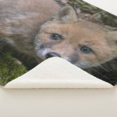 FOX KIT SHERPA DEKEN (3/4)