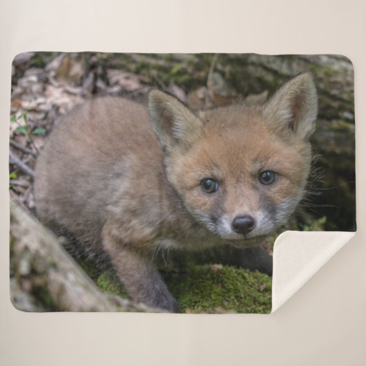 FOX KIT SHERPA DEKEN (Voorkant (horizontaal))