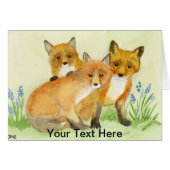 Fox Kits (Voorkant Horizontaal)