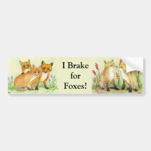 Fox Kits Bumpersticker