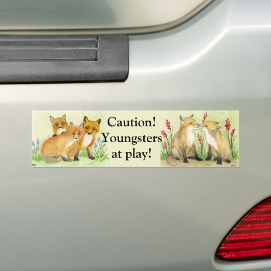 Fox Kits Bumpersticker (Op auto)