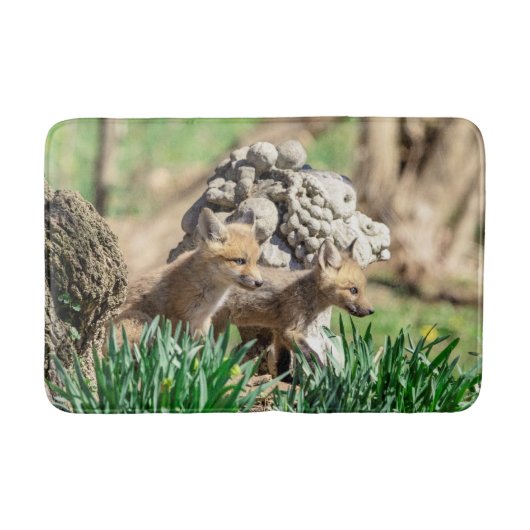 Fox Kits in de Hudson-vallei Badmat (Voorkant)