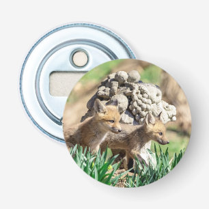 Fox Kits in de Hudson-vallei Button Flesopener