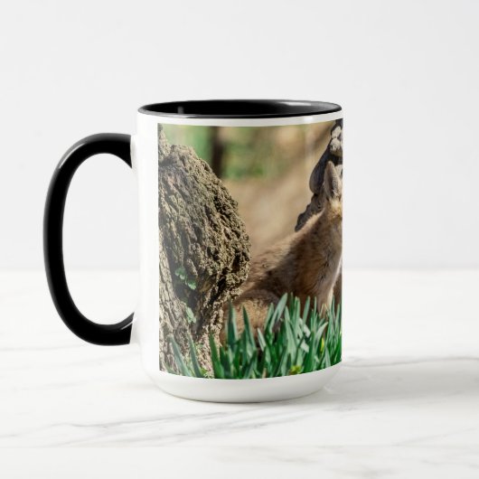 Fox Kits in de Hudson-vallei Mok (Links)