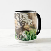 Fox Kits in de Hudson-vallei Mok (Voorkant rechts)