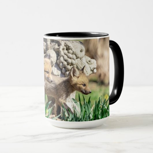 Fox Kits in de Hudson-vallei Mok (Voorkant rechts)