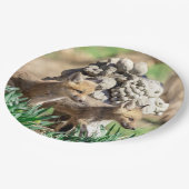 Fox Kits in de Hudson-vallei Papieren Bordje (Gekanteld)