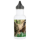 Fox Kits in de Hudson-vallei Waterfles (Links)