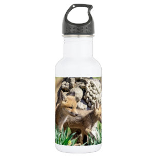 Fox Kits in de Hudson-vallei Waterfles