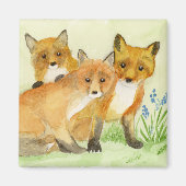 Fox Kits Magneet (Voorkant)