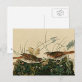 Fox-kleurige mousine briefkaart (Voorkant / Achterkant)