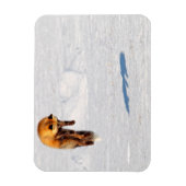 Fox Leap | Yukon, Canada Magneet (Verticaal)