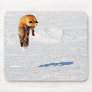 Fox Leap   Yukon, Canada Muismat
