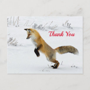 Fox Leaping Snow Foto Hartelijk dank Briefkaart
