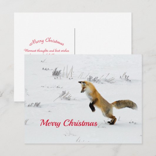 Fox Leaping Snow met kerstmis Briefkaart (Voorkant / Achterkant)