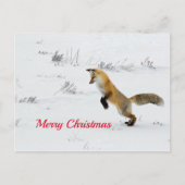 Fox Leaping Snow met kerstmis Briefkaart (Voorkant)