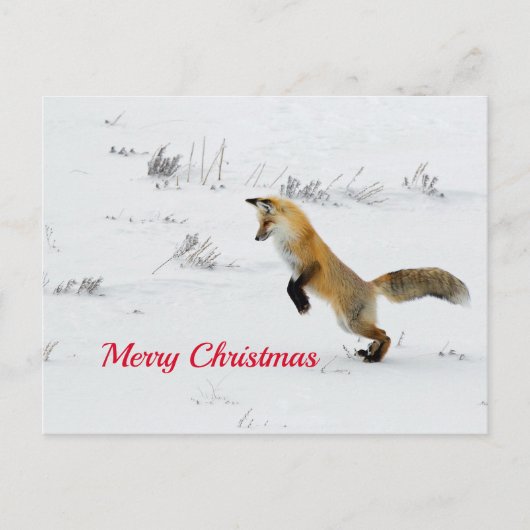 Fox Leaping Snow met kerstmis Briefkaart (Voorkant)