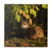 Fox Leaves en Shadows Tegeltje (Voorkant)