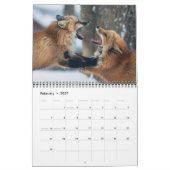 Fox Lover's Kalender (Feb 2027)