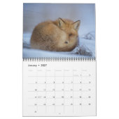 Fox Lover's Kalender (Jan 2027)