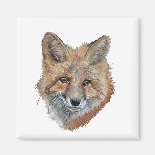Fox Magneet (Voorkant)