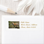 Fox Mailing Labels (Insitu)