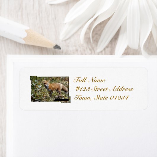 Fox Mailing Labels (Insitu)