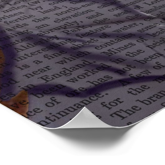 Fox met flut poster (Hoek)