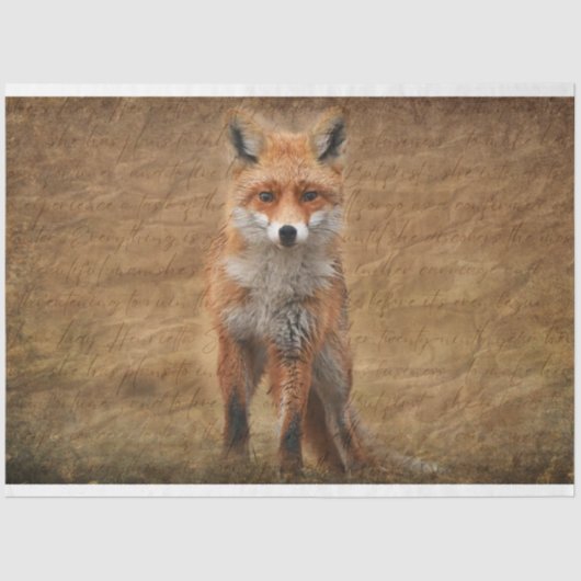 Fox met Script Overlay Decoupage Paper Tissuepapier (Voorkant)