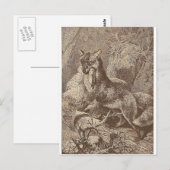 Fox met z'n dood briefkaart (Voorkant / Achterkant)