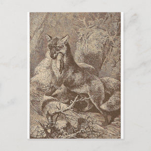Fox met z'n dood briefkaart