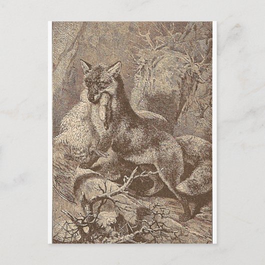 Fox met z'n dood briefkaart (Voorkant)
