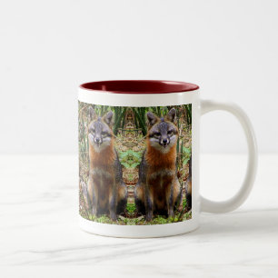 FOX MOK